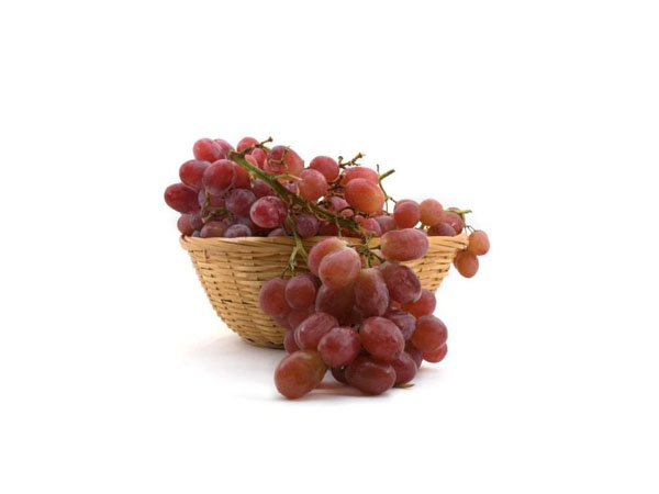 a-better-way-to-monitor-your-grapes-during-transport-temperature-data-logger2.jpg