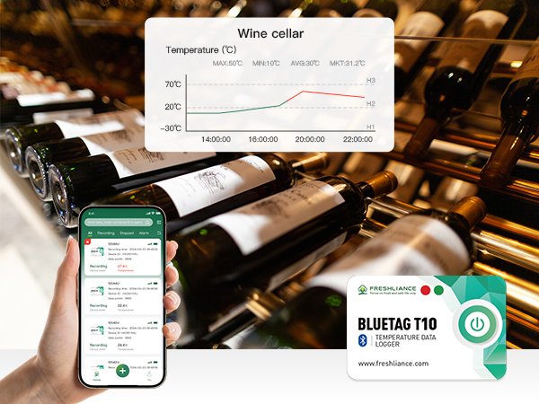 Регистратор данных температуры BlueTag T10 HACCP Bluetooth